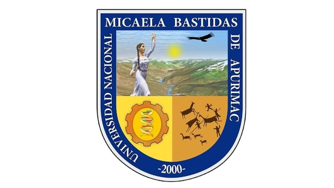 Universidad Nacional Micaela Bastidas de Apurímac