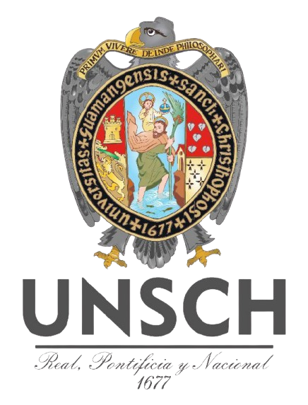 Universidad Nacional San Cristóbal de Huamanga